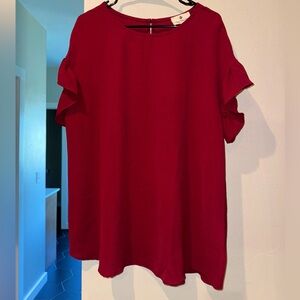 NWOT Ruffled Sleeve Top